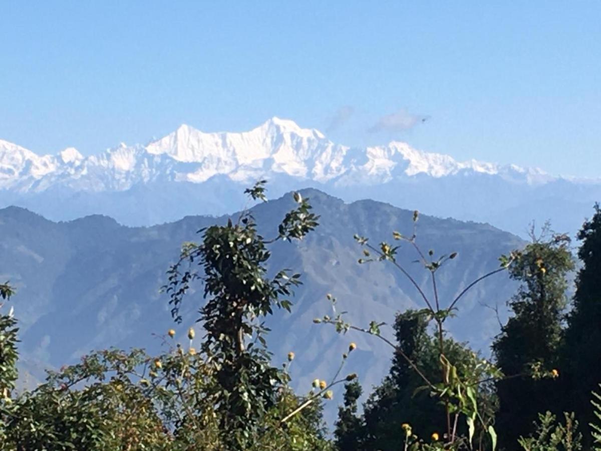 La Riqueza Dhanolti View # Near To Eco Park & Surkanda Devi Temple # Mountain View Rooms With Balcony # Big Parking # Customer Favourite Hotel Дханолти Экстерьер фото